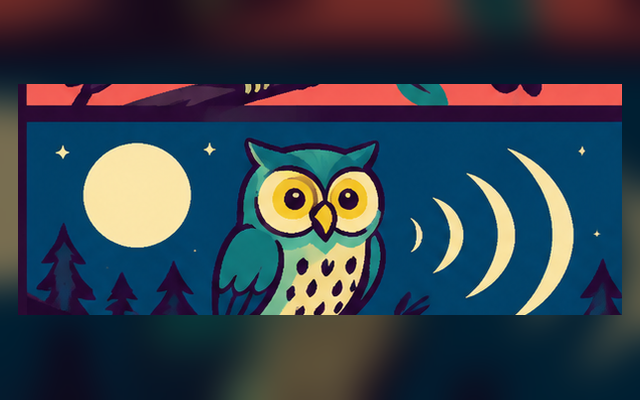 Night owl visual reference
